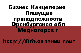 Бизнес Канцелярия - Пишущие принадлежности. Оренбургская обл.,Медногорск г.